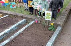 2025-04-24 - Żabki - W przedszkolnym ogródku - prace ogrodnicze
